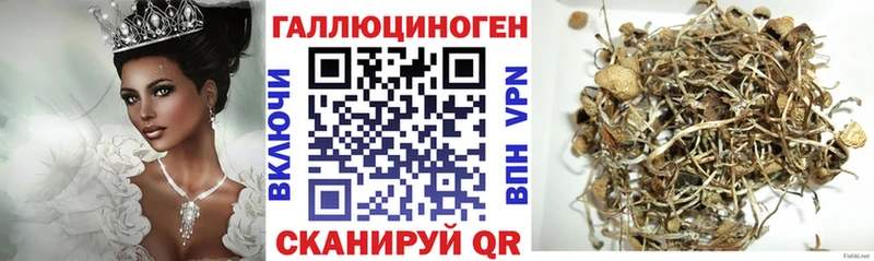 Галлюциногенные грибы Psilocybe Чудово